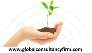 Business Consultancy Firm